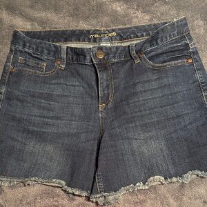 Maurices Dark Wash Jean Shorts
